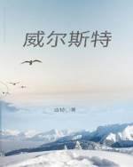 威尔斯特